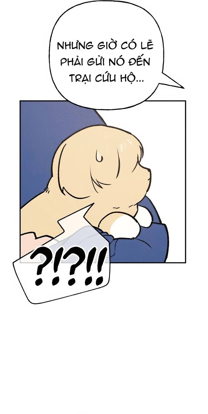 Chàng Rể Quỷ Quyệt Chapter 7 - Trang 2