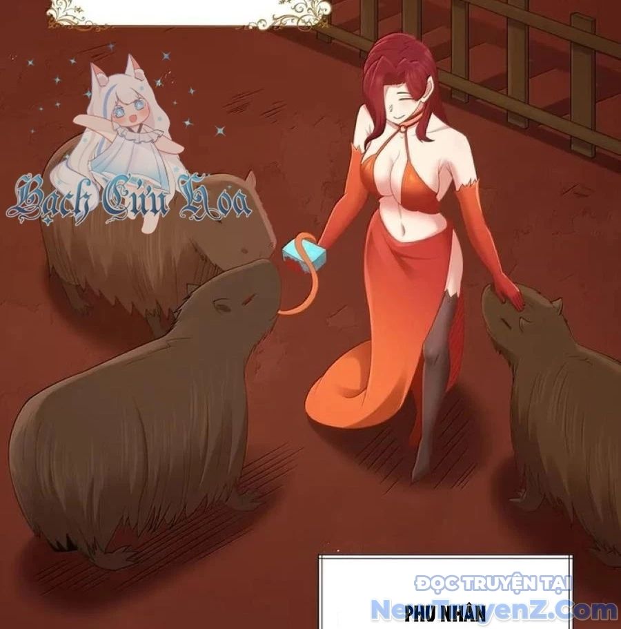 Dũng Giả Này Là Người Theo Chủ Nghĩa Tiền Tài Chí Thượng Chapter 101 - Trang 2