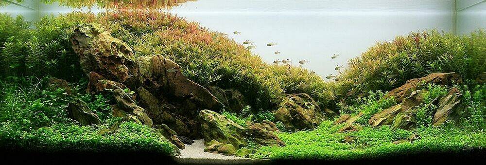 Blame Gakuen! And So On Chapter 5 - Trang 2