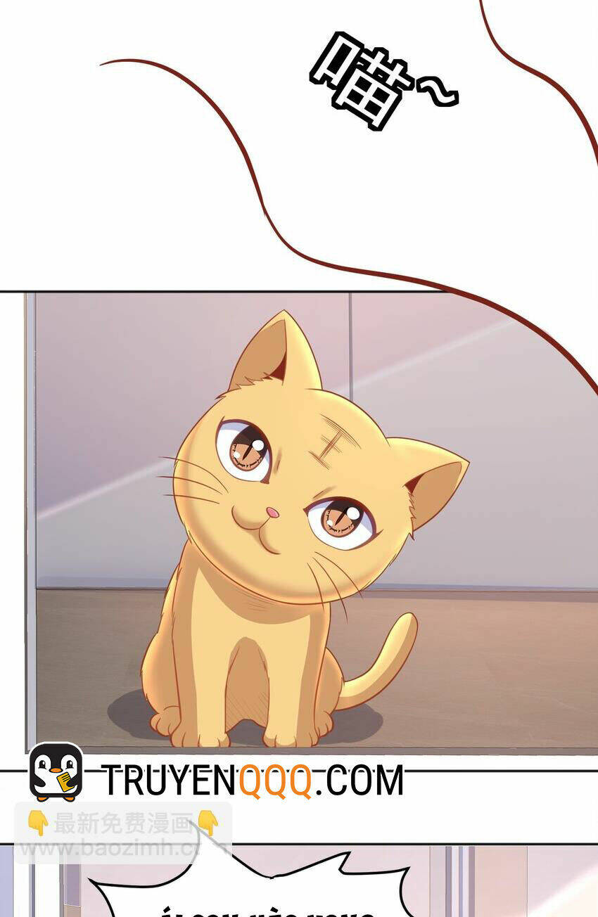 Cô Vợ Tu Tiên Chapter 31 - Trang 2