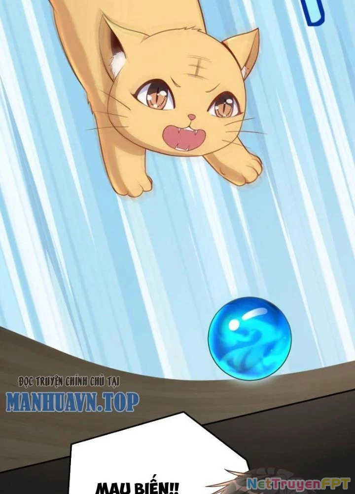 Cô Vợ Tu Tiên Chapter 50 - Trang 2