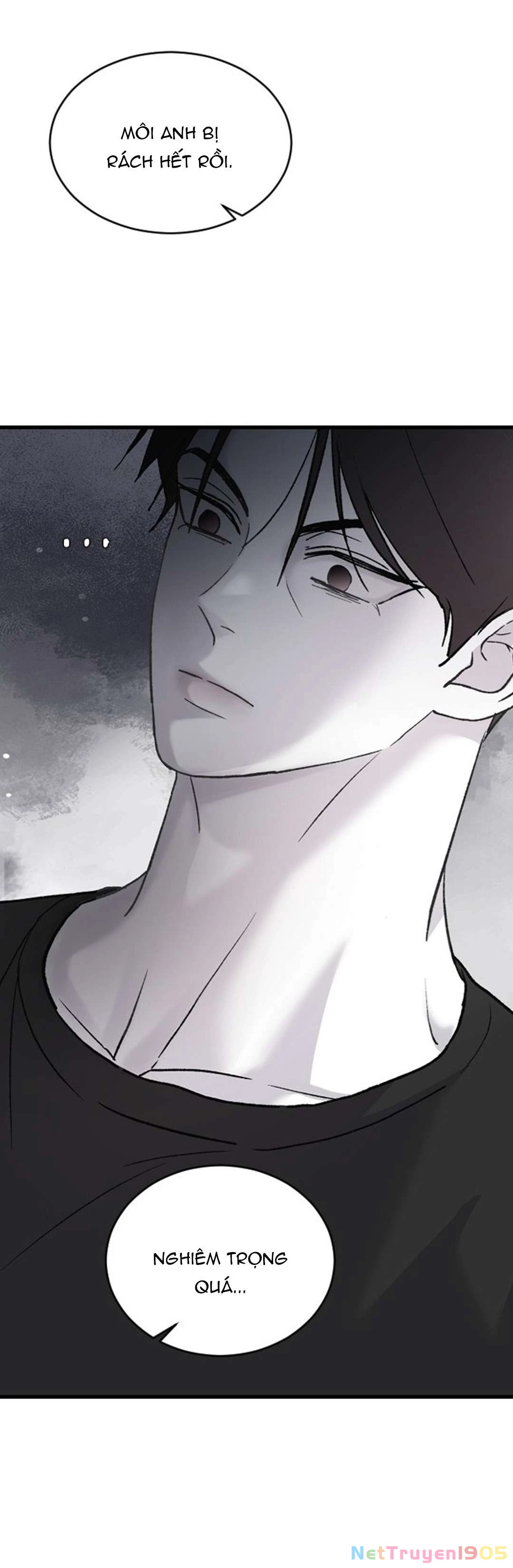 Ba Người Anh Trai Cực Phẩm Của Tôi Chapter 71 - Trang 2