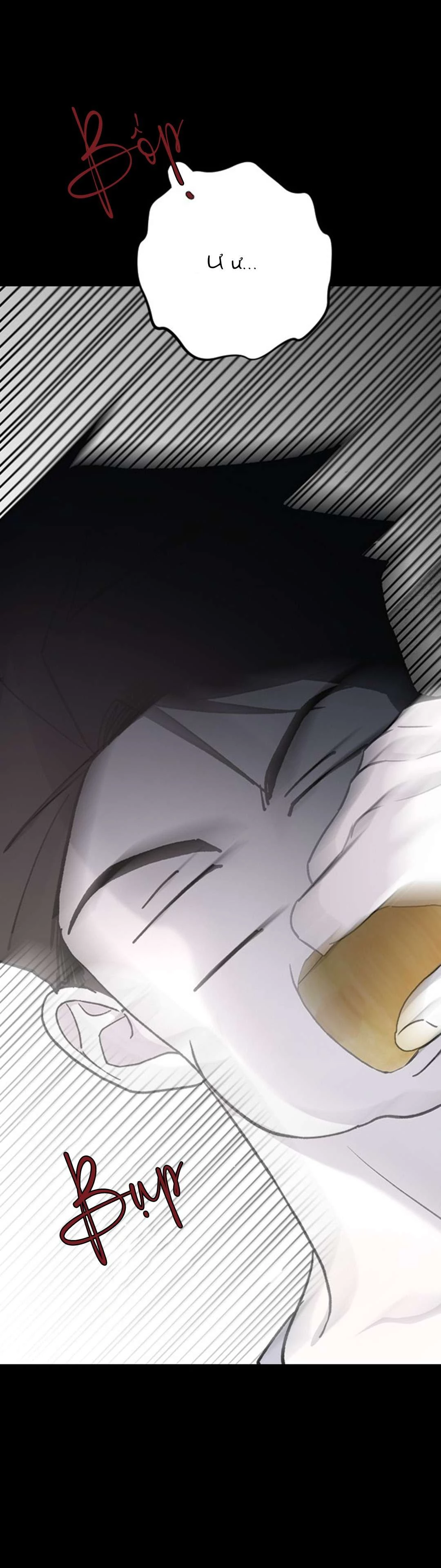 Ba Người Anh Trai Cực Phẩm Của Tôi Chapter 72 - Trang 2