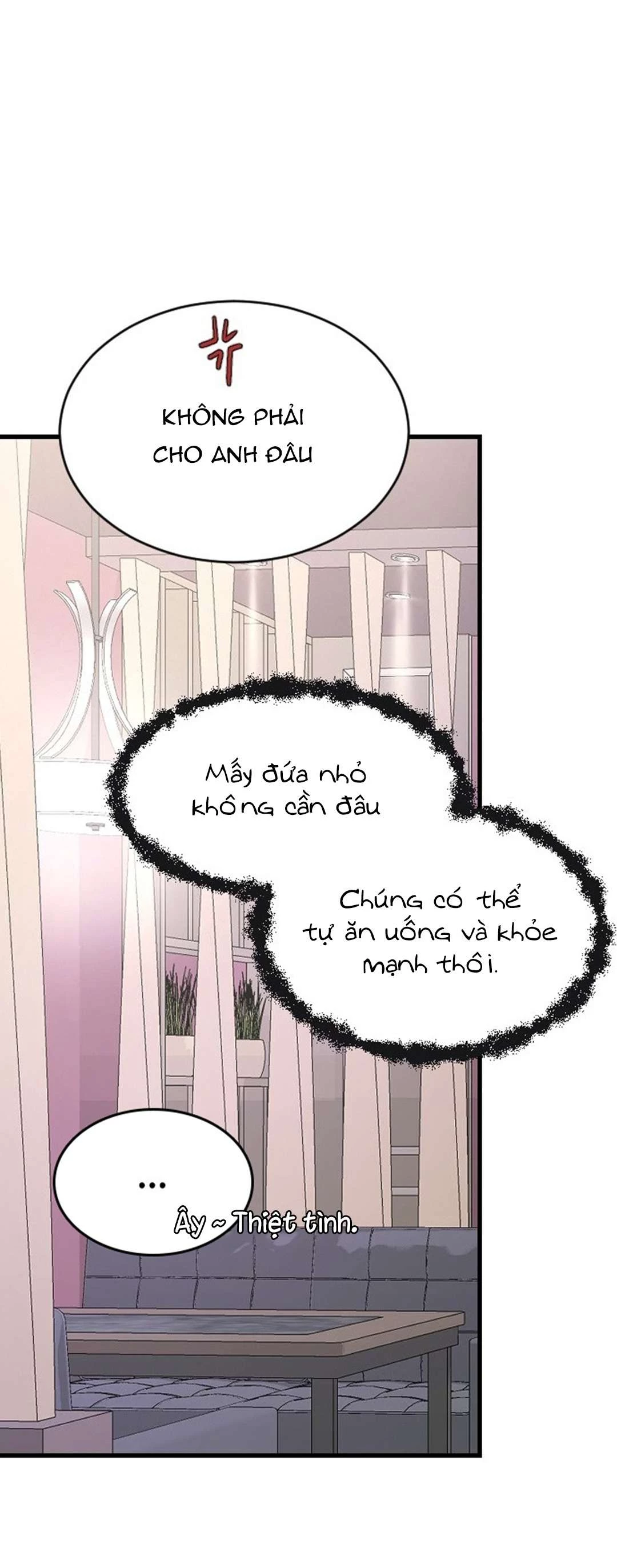 Ba Người Anh Trai Cực Phẩm Của Tôi Chapter 74 - Trang 2