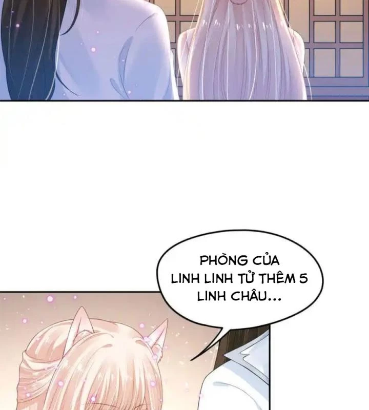 Hồ Ly Tinh Của Trẫm Chapter 66 - Trang 2