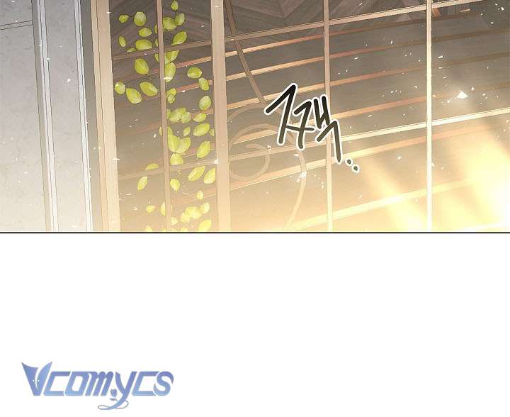 Xin Lỗi Vì Tôi Không Thể Rời Mắt Khỏi Vẻ Ngoài Của Ngài Chapter 17 - Trang 2