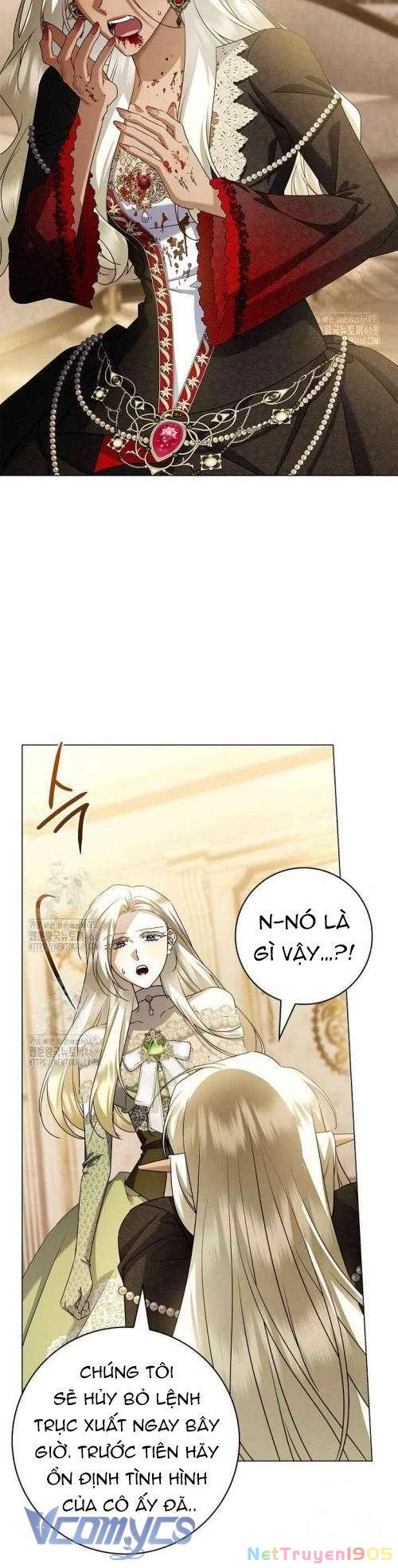 Xin Lỗi Vì Tôi Không Thể Rời Mắt Khỏi Vẻ Ngoài Của Ngài Chapter 31 - Trang 2