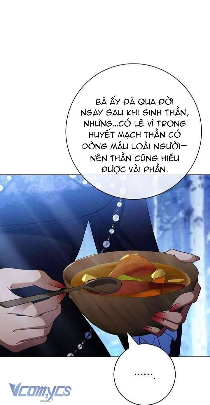 Xin Lỗi Vì Tôi Không Thể Rời Mắt Khỏi Vẻ Ngoài Của Ngài Chapter 40 - Trang 2