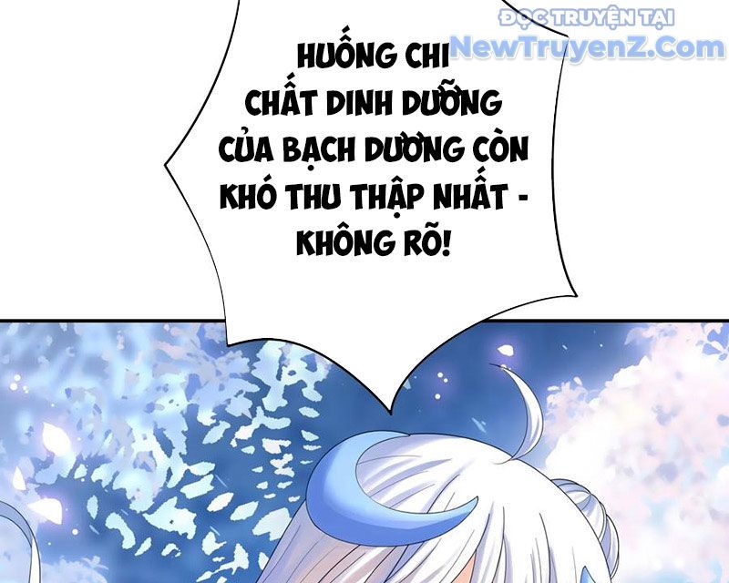 Sau Khi Mẹ Bị Giết, Tôi Trở Thành Miêu Nương Chapter 17 - Trang 2