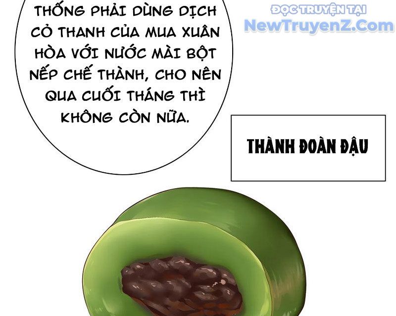 Sau Khi Mẹ Bị Giết, Tôi Trở Thành Miêu Nương Chapter 17 - Trang 2