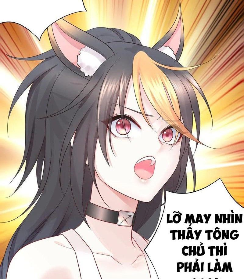 Sau Khi Mẹ Bị Giết, Tôi Trở Thành Miêu Nương Chapter 28 - Trang 2