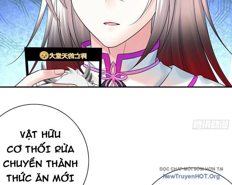 Sau Khi Mẹ Bị Giết, Tôi Trở Thành Miêu Nương Chapter 43 - Trang 2