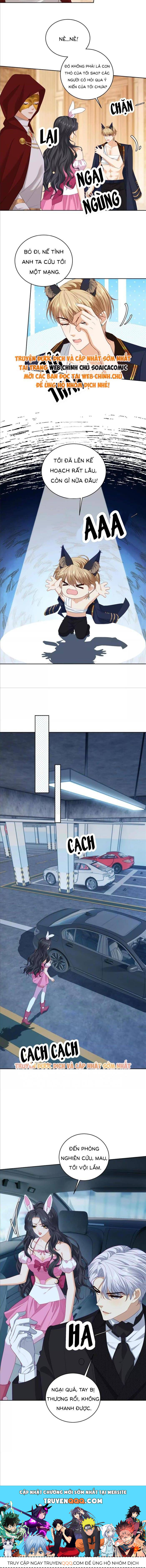 Khi Định Mệnh Của Tôi Chính Là Nhân Vật Nam Phụ Chapter 24 - Trang 2