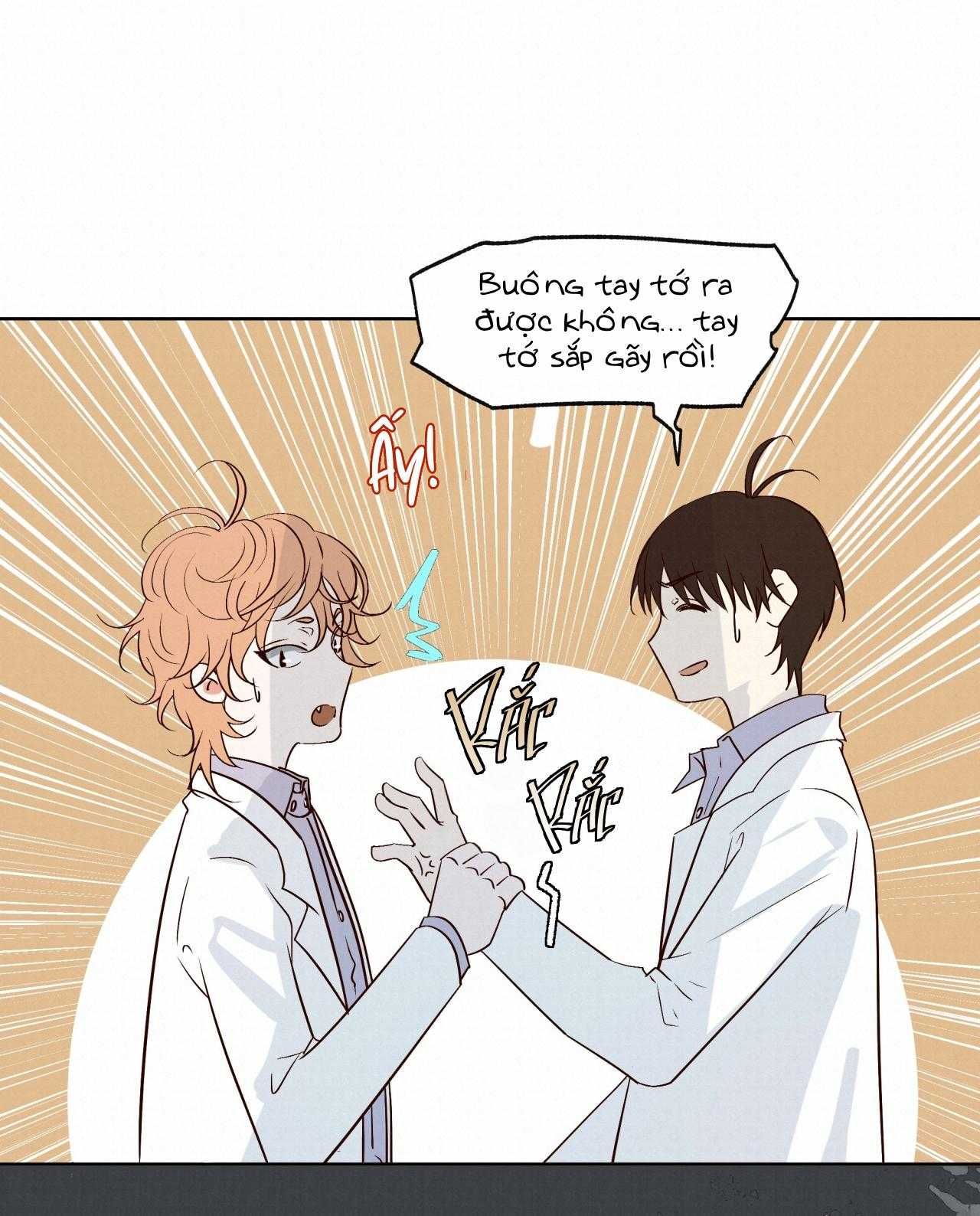 Trỗi Dậy Từ Tro Tàn Chapter 46 - Trang 2