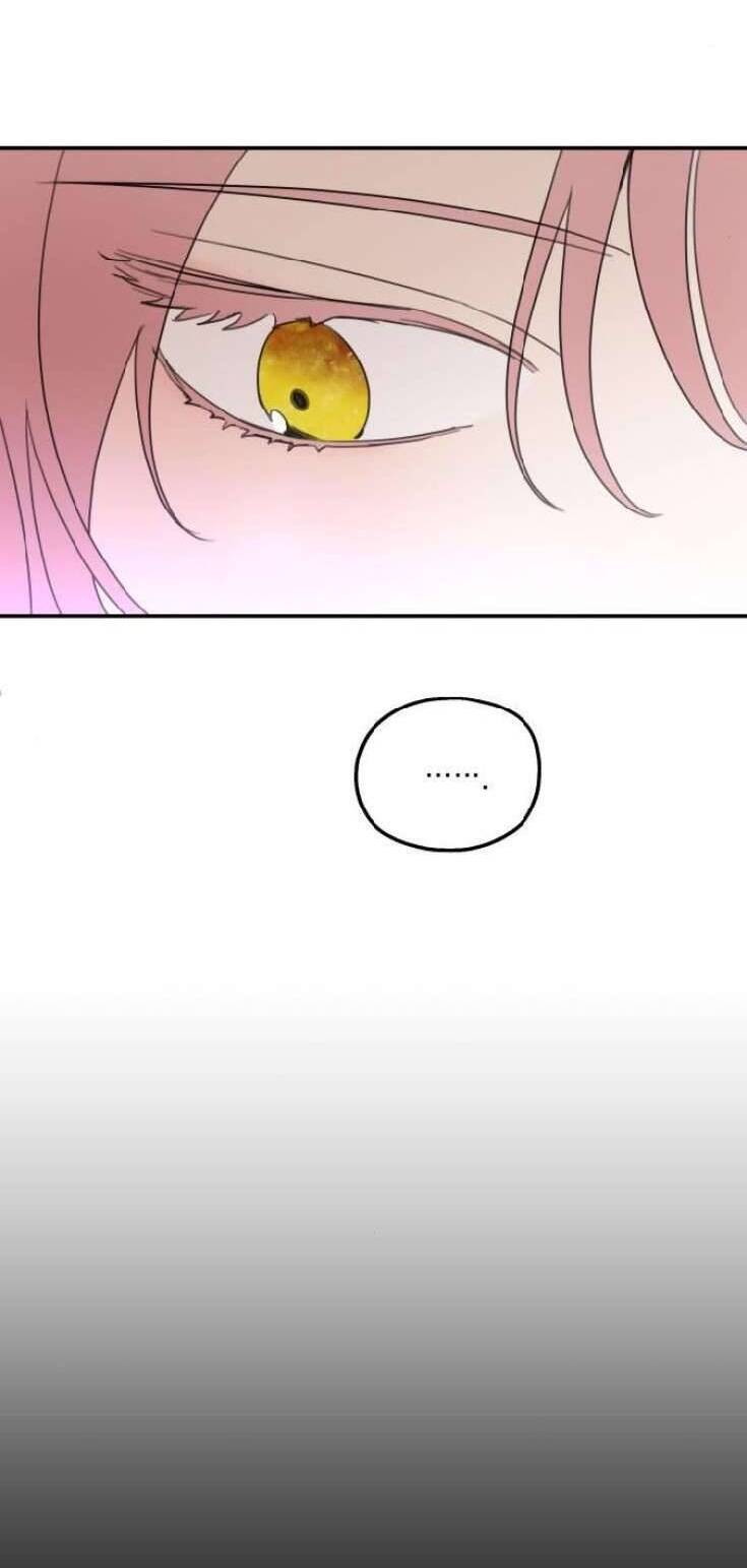 Gia Đình Chồng Quá Ám Ảnh Bởi Tôi Chapter 8 - Trang 2