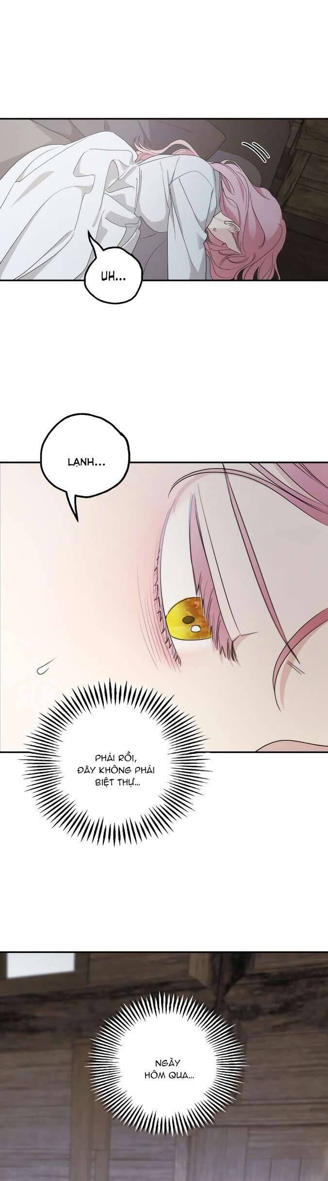 Gia Đình Chồng Quá Ám Ảnh Bởi Tôi Chapter 95 - Trang 2