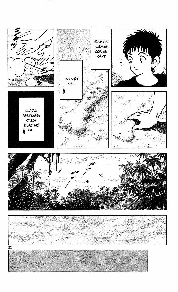 Q&A Chapter 19 - Trang 2