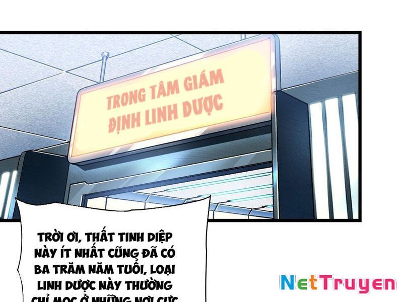 Cao Võ Tiến Hóa: Bắt Đầu Thức Tỉnh Quái Thú Chi Vương Chapter 17 - Trang 2