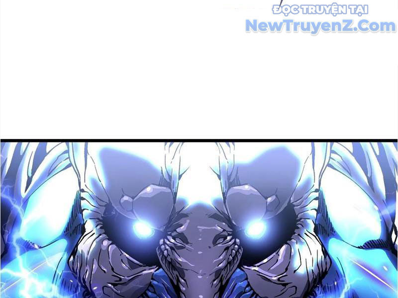 Cao Võ Tiến Hóa: Bắt Đầu Thức Tỉnh Quái Thú Chi Vương Chapter 22 - Trang 2