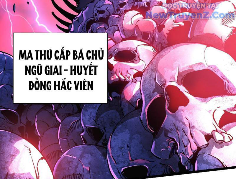 Cao Võ Tiến Hóa: Bắt Đầu Thức Tỉnh Quái Thú Chi Vương Chapter 23 - Trang 2