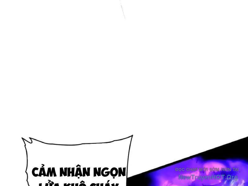 Cao Võ Tiến Hóa: Bắt Đầu Thức Tỉnh Quái Thú Chi Vương Chapter 30 - Trang 2