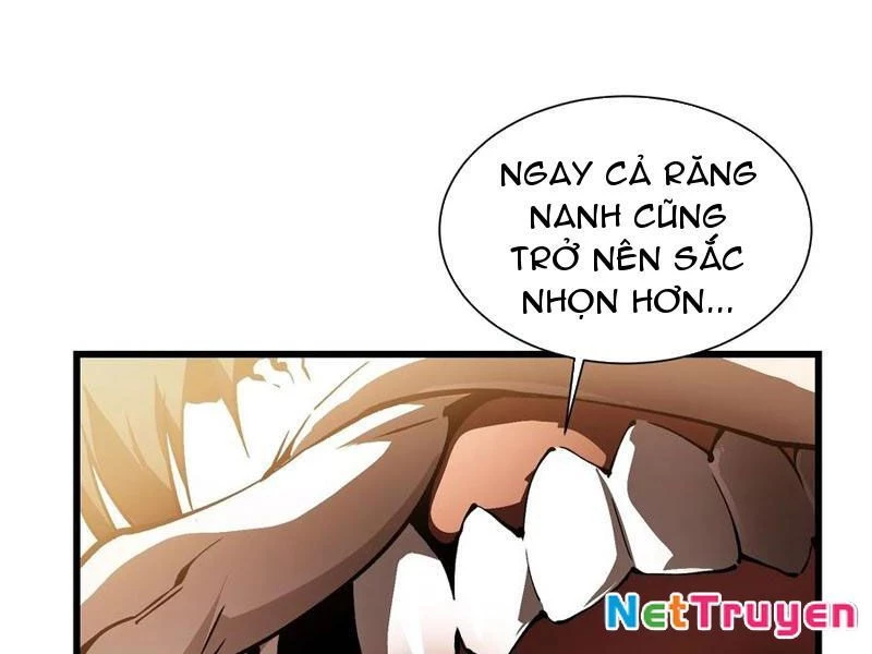 Cao Võ Tiến Hóa: Bắt Đầu Thức Tỉnh Quái Thú Chi Vương Chapter 41 - Trang 2