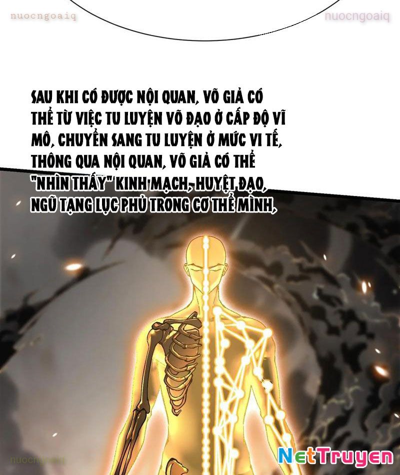 Cao Võ Tiến Hóa: Bắt Đầu Thức Tỉnh Quái Thú Chi Vương Chapter 46 - Trang 2