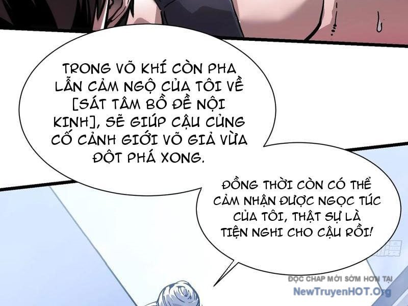 Cao Võ Tiến Hóa: Bắt Đầu Thức Tỉnh Quái Thú Chi Vương Chapter 48 - Trang 2