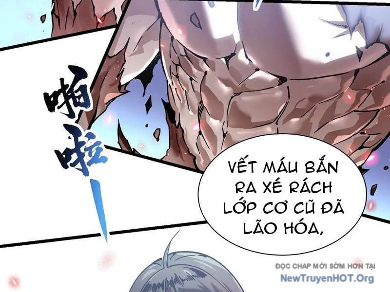 Cao Võ Tiến Hóa: Bắt Đầu Thức Tỉnh Quái Thú Chi Vương Chapter 48 - Trang 2