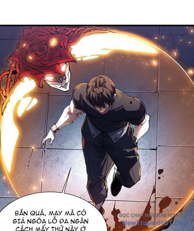 Cao Võ Tiến Hóa: Bắt Đầu Thức Tỉnh Quái Thú Chi Vương Chapter 51 - Trang 2