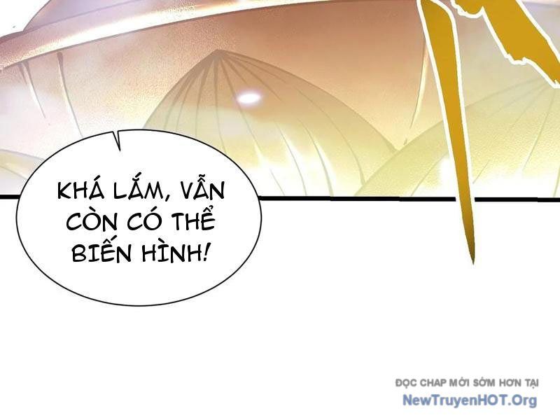 Cao Võ Tiến Hóa: Bắt Đầu Thức Tỉnh Quái Thú Chi Vương Chapter 52 - Trang 2