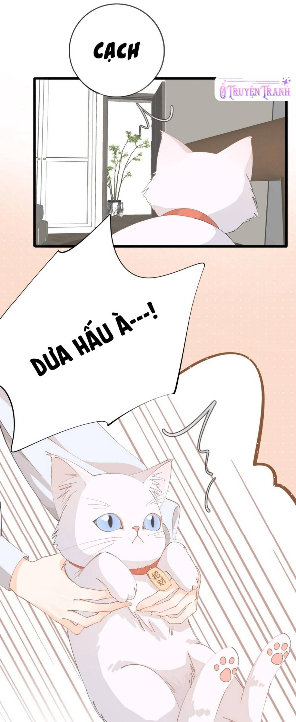 Chị Gái Lại Toang Nữa Rồi Chapter 2 - Trang 2