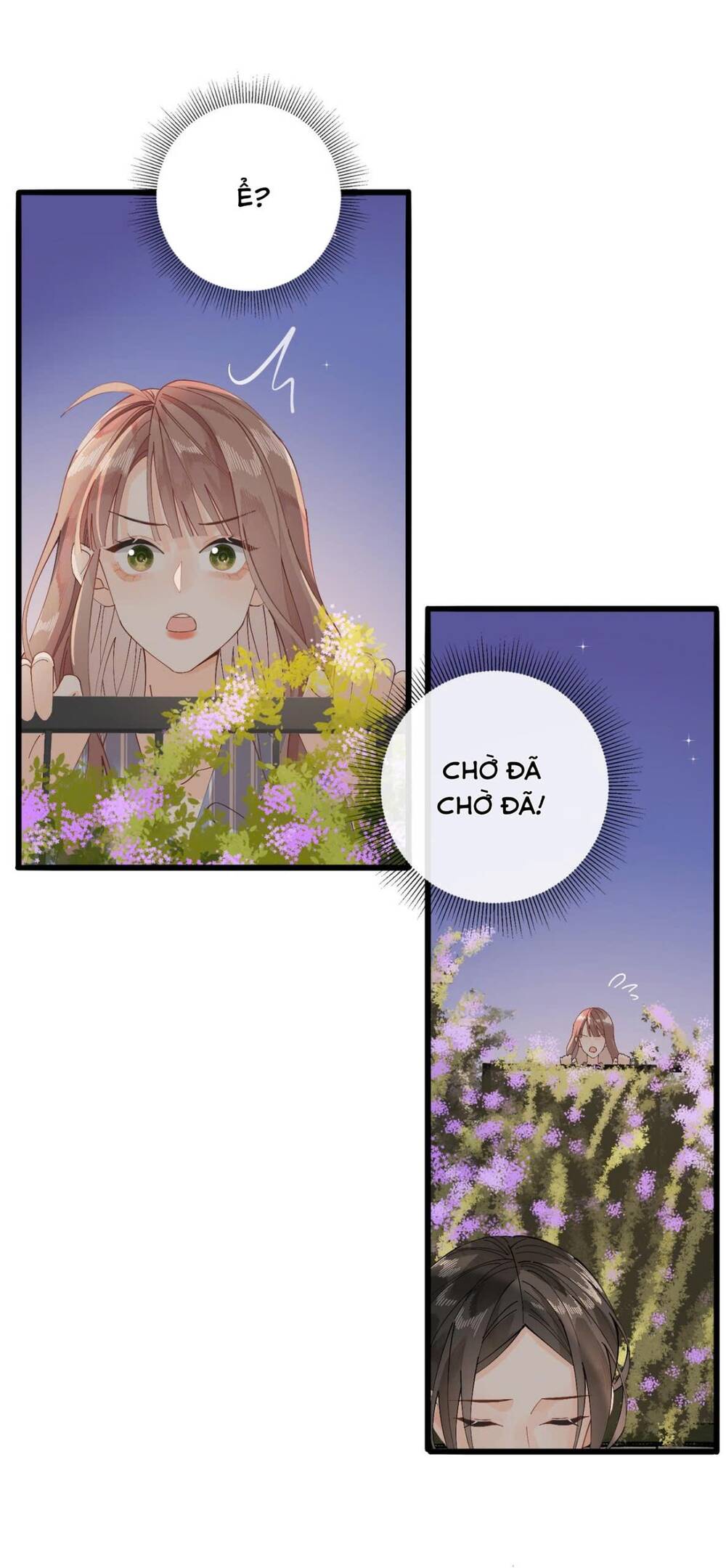 Chị Gái Lại Toang Nữa Rồi Chapter 5 - Trang 2