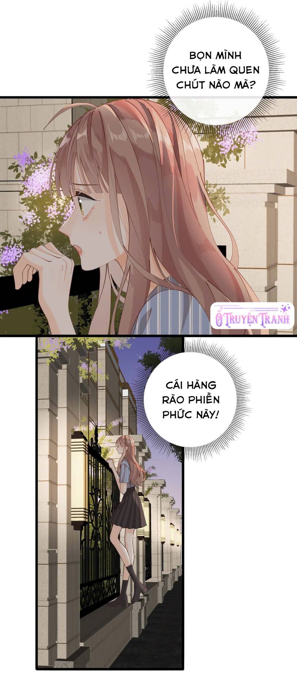 Chị Gái Lại Toang Nữa Rồi Chapter 5 - Trang 2