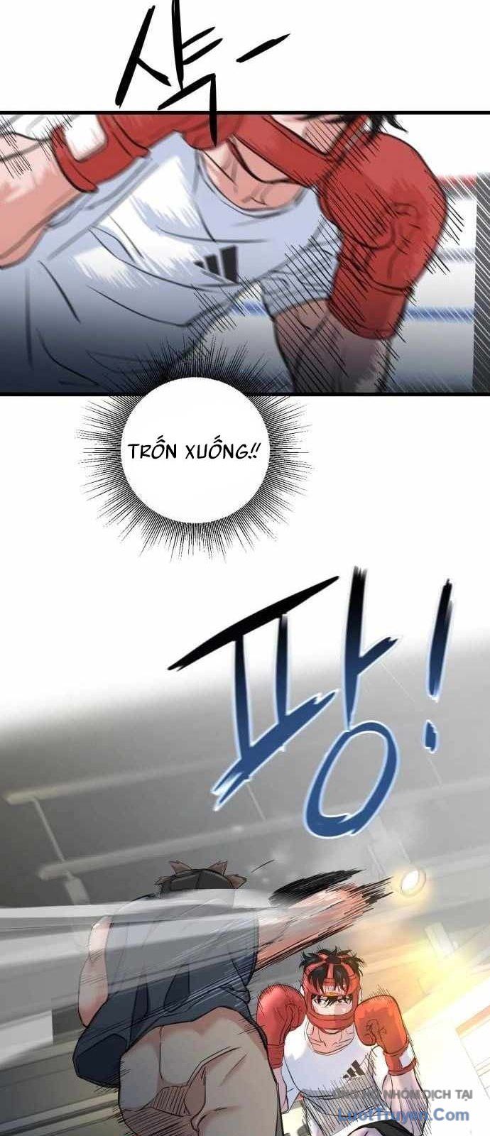 Under Boxer Chapter 3 - Trang 2