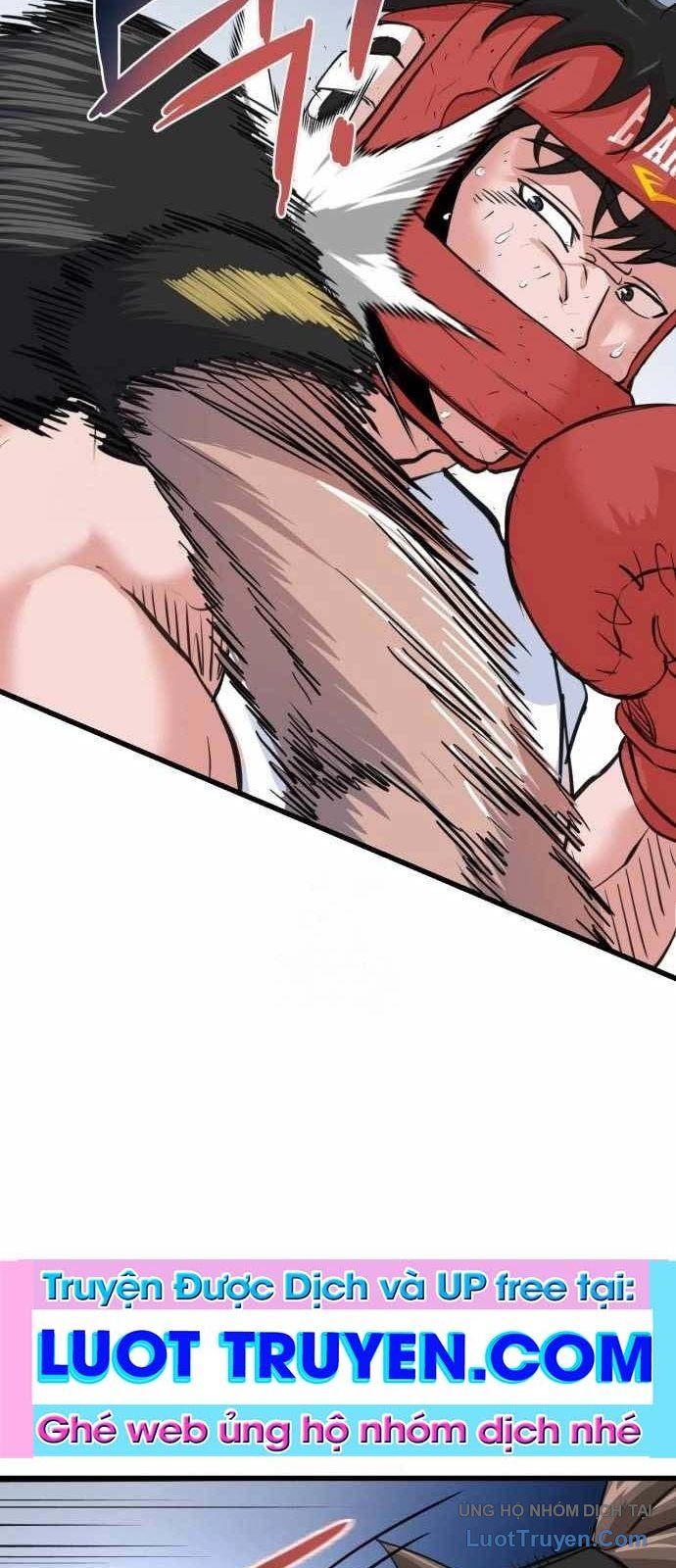 Under Boxer Chapter 3 - Trang 2