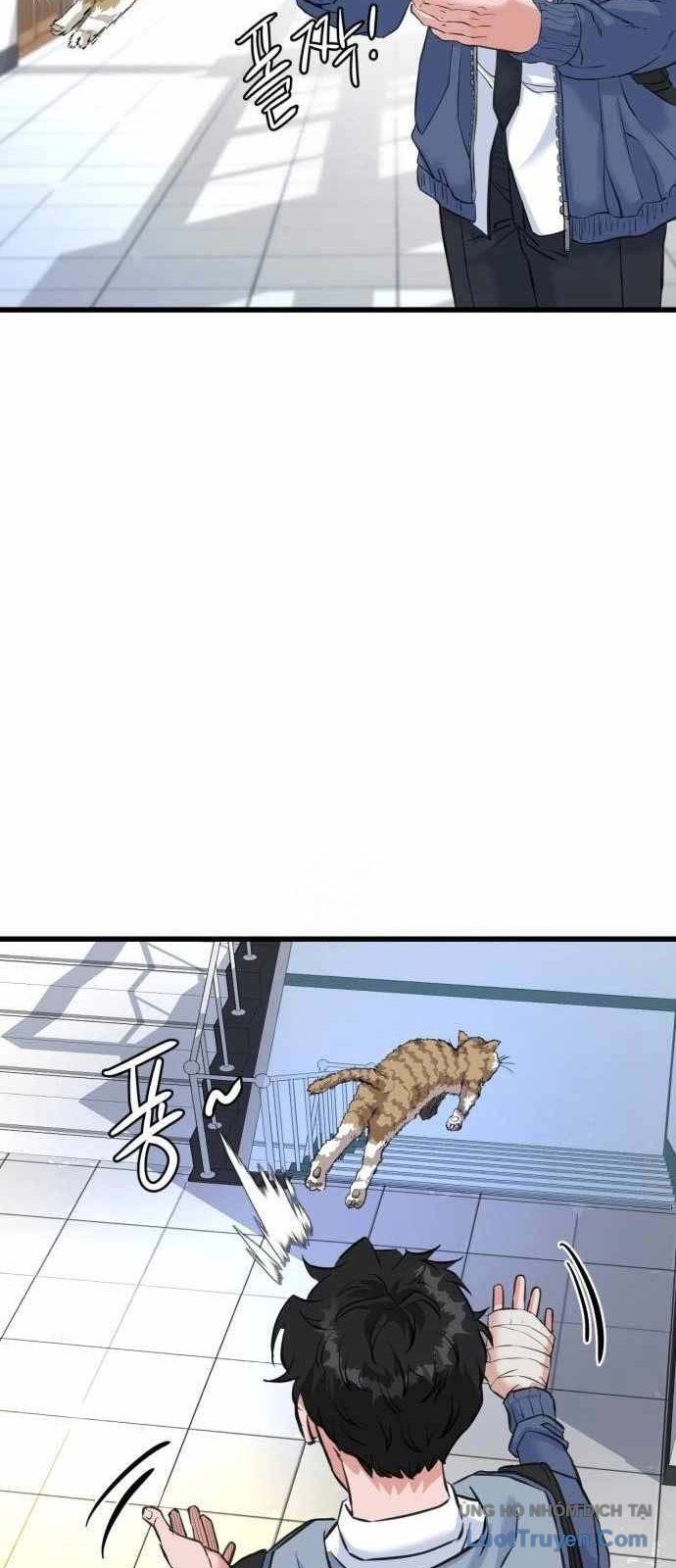 Under Boxer Chapter 3 - Trang 2