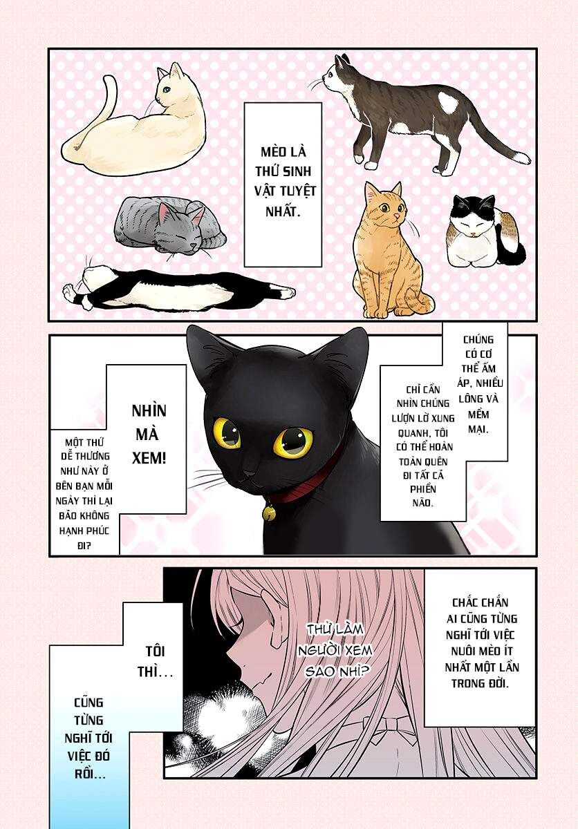Mii-Chan Muốn Được Nhận Nuôi! Chapter 1 - Trang 2