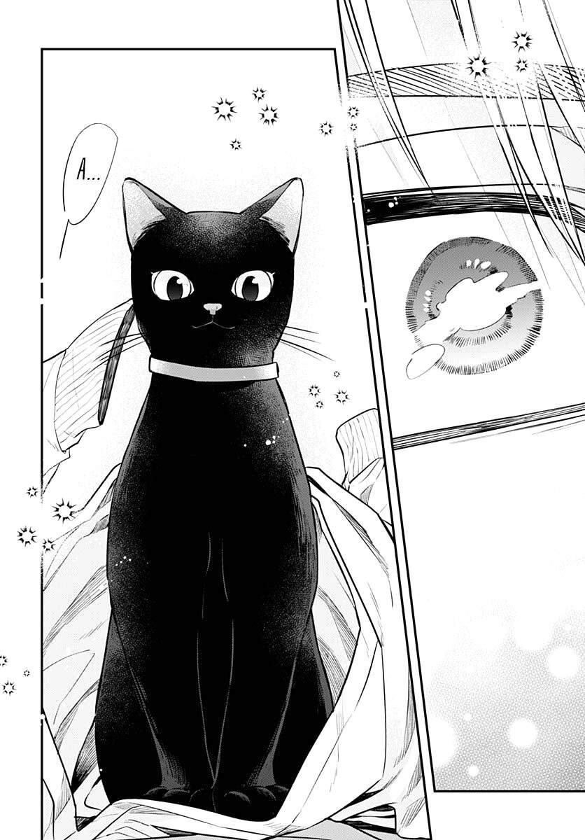 Mii-Chan Muốn Được Nhận Nuôi! Chapter 2 - Trang 2