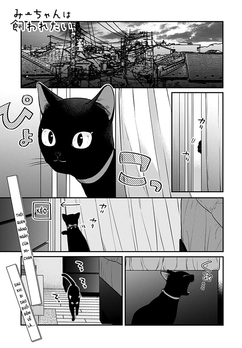 Mii-Chan Muốn Được Nhận Nuôi! Chapter 4 - Trang 2
