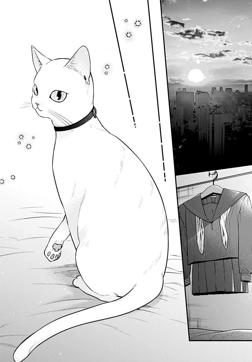 Mii-Chan Muốn Được Nhận Nuôi! Chapter 8 - Trang 2