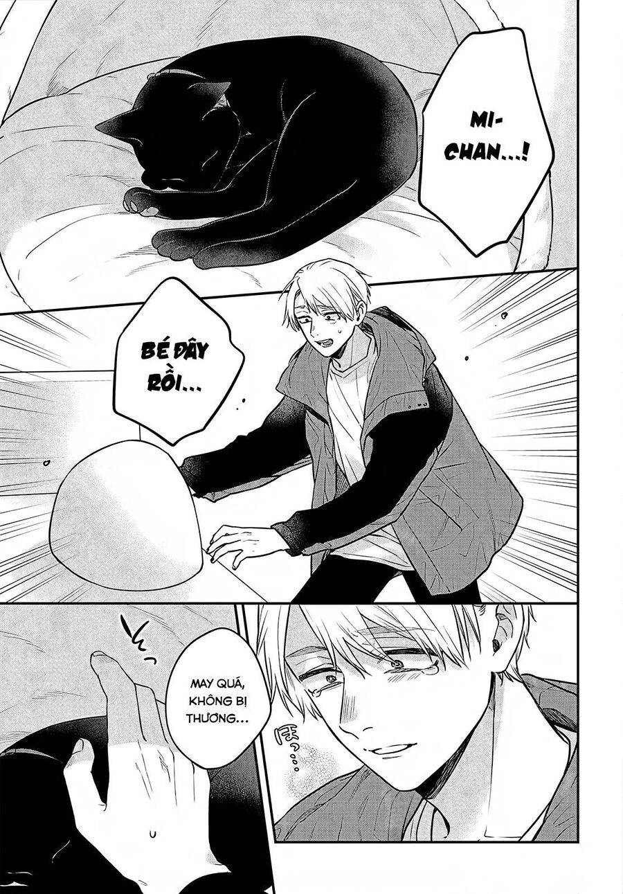 Mii-Chan Muốn Được Nhận Nuôi! Chapter 12 - Trang 2