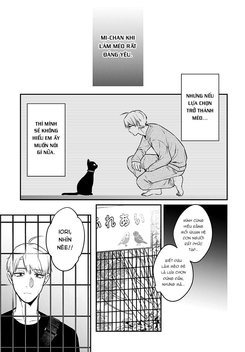 Mii-Chan Muốn Được Nhận Nuôi! Chapter 16 - Trang 2