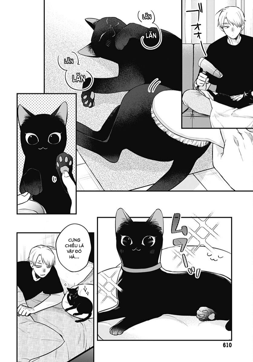 Mii-Chan Muốn Được Nhận Nuôi! Chapter 20 - Trang 2