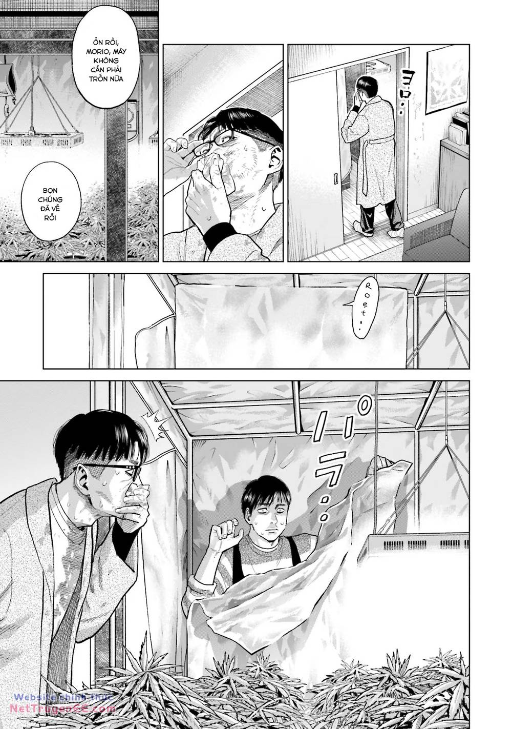 Vua Cần Sa Chapter 11 - Trang 2