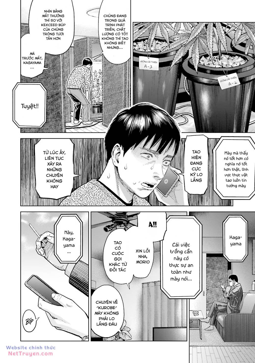 Vua Cần Sa Chapter 14 - Trang 2