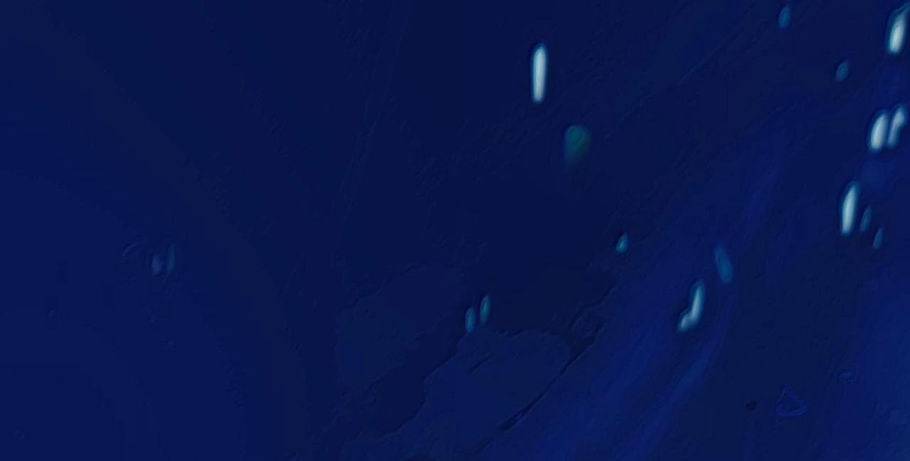 Đồng Loại Chapter 33 - Trang 2