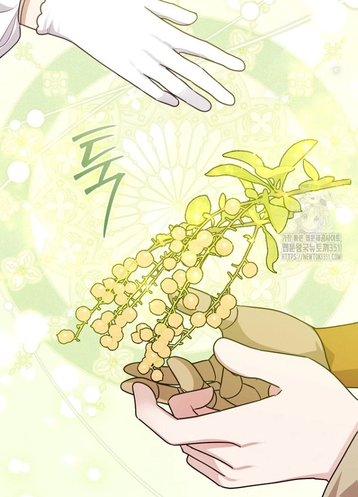 Tôi Muốn Sống Một Cuộc Sống Thoải Mái Chapter 17 - Trang 2