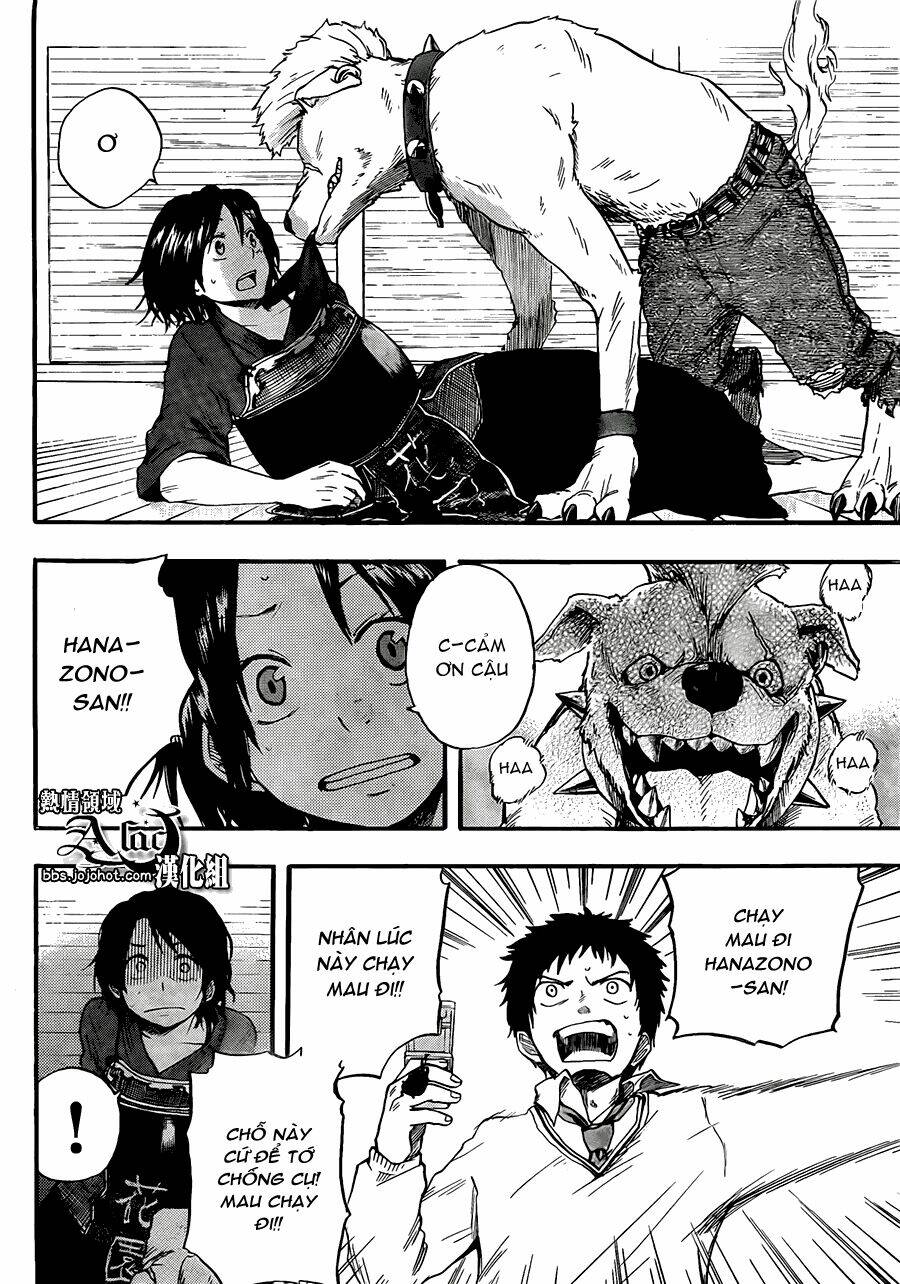 Dragon Collection Chapter 4 - Trang 2
