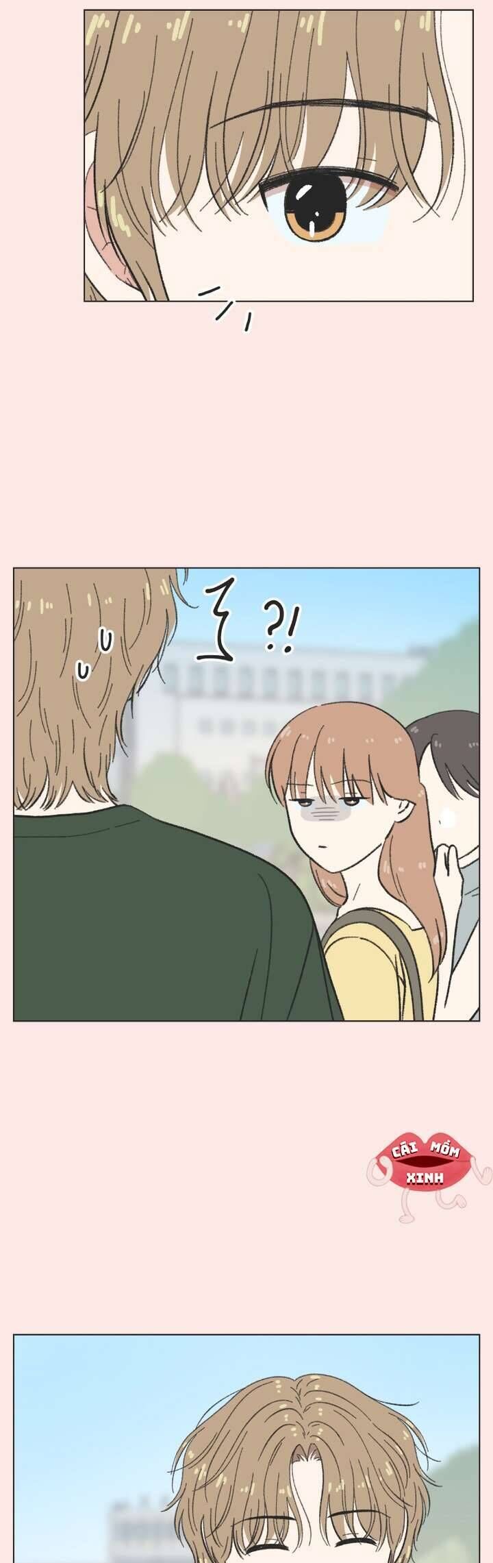 Seasons Of Lovesome Chapter 39 - Trang 2